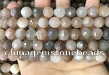 CMS1694 15.5 inches 10mm faceted round rainbow moonstone beads