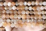 CMS1713 15.5 inches 8mm round rainbow moonstone beads wholesale