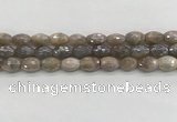 CMS1775 15.5 inches 8*12mm faceted rice AB-color moonstone beads