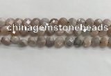 CMS1788 15.5 inches 8mm faceted coin AB-color moonstone beads