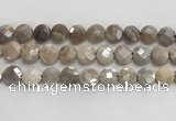 CMS1790 15.5 inches 12mm faceted coin AB-color moonstone beads