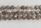 CMS1791 15.5 inches 14mm faceted coin AB-color moonstone beads