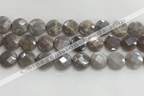 CMS1792 15.5 inches 16mm faceted coin AB-color moonstone beads