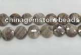 CMS1794 15.5 inches 20mm faceted coin AB-color moonstone beads