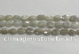 CMS1806 15.5 inches 8*12mm faceted oval AB-color moonstone beads