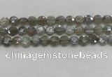 CMS1818 15.5 inches 10mm faceted coin AB-color moonstone beads