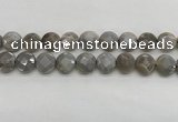 CMS1819 15.5 inches 14mm faceted coin AB-color moonstone beads