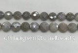 CMS1820 15.5 inches 16mm faceted coin AB-color moonstone beads