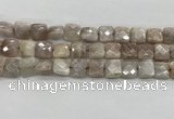 CMS1828 15.5 inches 12*12mm faceted square AB-color moonstone beads