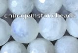 CMS1862 15.5 inches 10mm faceted round white moonstone gemstone beads