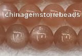 CMS1898 15.5 inches 10mm round moonstone gemstone beads