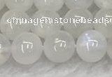 CMS1902 15.5 inches 8mm round white moonstone gemstone beads