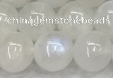 CMS1904 15.5 inches 12mm round white moonstone gemstone beads