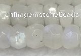 CMS1911 15.5 inches 5*8mm faceted rondelle white moonstone beads