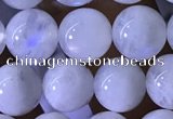 CMS1922 15.5 inches 8mm round white moonstone gemstone beads