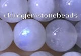 CMS1923 15.5 inches 10mm round white moonstone gemstone beads