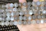 CMS1943 15.5 inches 10mm round grey moonstone beads wholesale