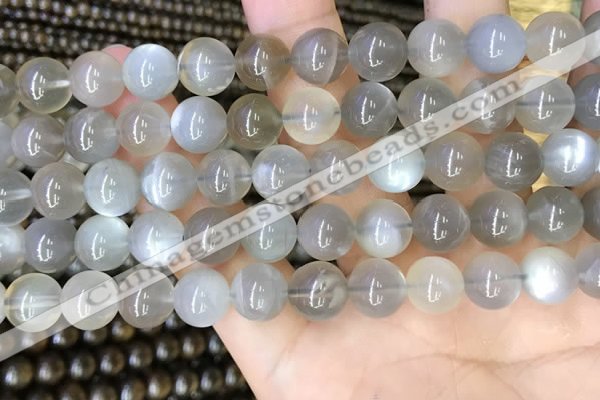 CMS1943 15.5 inches 10mm round grey moonstone beads wholesale