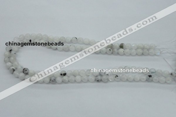 CMS201 15.5 inches 6mm round moonstone gemstone beads wholesale