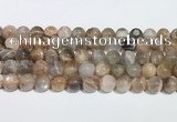 CMS2012 15.5 inches 10mm round moonstone gemstone beads