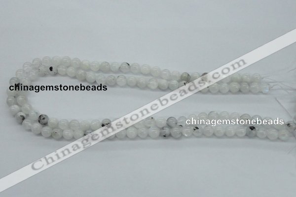 CMS202 15.5 inches 7mm round moonstone gemstone beads wholesale