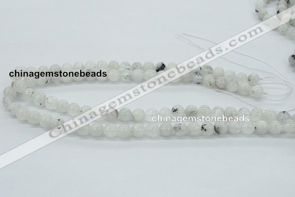 CMS203 15.5 inches 9mm round moonstone gemstone beads wholesale