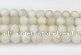 CMS2030 15.5 inches 12mm round white moonstone beads wholesale