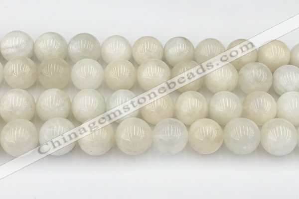 CMS2031 15.5 inches 14mm round white moonstone beads wholesale