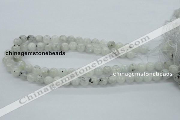 CMS205 15.5 inches 11mm round moonstone gemstone beads wholesale