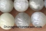 CMS2051 15.5 inches 8mm round moonstone gemstone beads