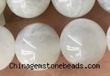 CMS2052 15.5 inches 10mm round moonstone gemstone beads