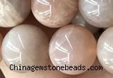 CMS2056 15.5 inches 10mm round moonstone gemstone beads