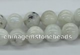CMS206 15.5 inches 12mm round moonstone gemstone beads wholesale