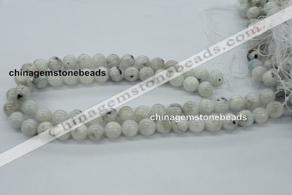 CMS206 15.5 inches 12mm round moonstone gemstone beads wholesale