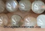 CMS2060 15.5 inches 8mm round moonstone gemstone beads