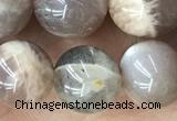 CMS2061 15.5 inches 10mm round moonstone gemstone beads