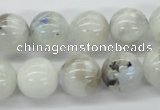 CMS207 15.5 inches 14mm round moonstone gemstone beads wholesale