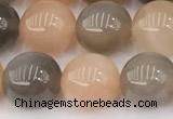 CMS2072 15 inches 10mm round moonstone gemstone beads