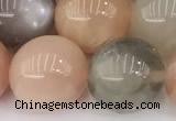 CMS2073 15 inches 12mm round moonstone gemstone beads