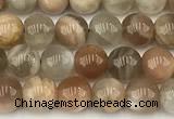 CMS2086 15 inches 6mm round moonstone gemstone beads