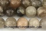 CMS2087 15 inches 8mm round moonstone gemstone beads