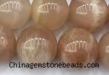 CMS2113 15 inches 10mm round moonstone beads