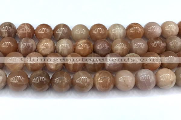 CMS2115 15 inches 12mm round moonstone beads