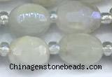 CMS2130 15 inches 8*10mm - 9*12mm faceted nuggets AB-color moonstone beads