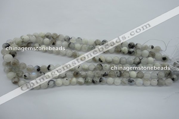 CMS216 15.5 inches 8mm round white moonstone gemstone beads