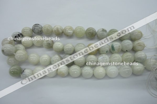 CMS217 15.5 inches 16mm round white moonstone gemstone beads