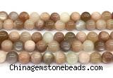 CMS2275 15 inches 10mm round rainbow moonstone gemstone beads