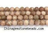 CMS2283 15 inches 12mm faceted round moonstone beads