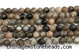 CMS2288 15 inches 8mm round grey moonstone beads wholesale