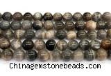 CMS2289 15 inches 10mm round grey moonstone beads wholesale